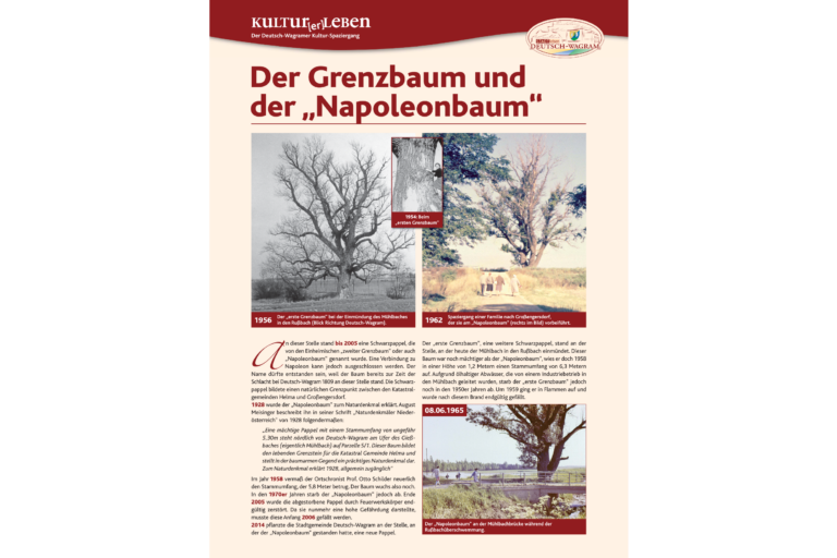 Der Grenzbaum und der Napoleonbaum