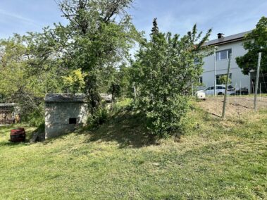 Weinkeller und Weingarten Am Wagram, Deutsch-Wagram