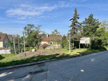 Die Kultur(er)erleben Tafel "Der Weinbau" - vor dem Weingarten Am Wagram, Deutsch-Wagram