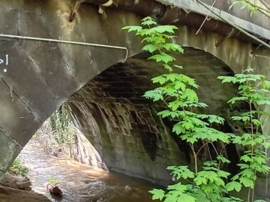 Vinxtbach mit Steinbogenbrücke aus dem Jahr 1813