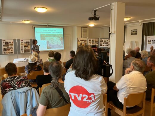 Feierliche Präsentation des keltischen Gefäßes, Vortrag von Mag. Christina Neureiter (Novetus)