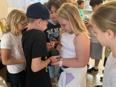 Junge Geschichtsdetektive im Napoleonmuseum. Klasse 3B unserer Volksschule mit Klassenlehrerin Frau Ursula Holzer.