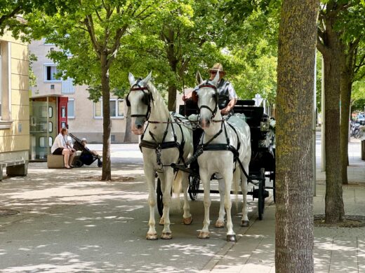 Wagramer Historientage 2025 - Geschichts- und Stadtführung mit Fritz Quirgst