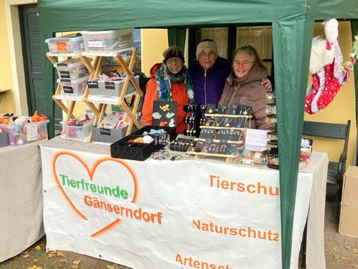 Weihnachtsmarkt im Napoleon- und Stadtmuseum, Tierfreunde Gänserndorf, Angelika Waschke diverse gebastelte Produkte zu Gunsten des Tierschutzes