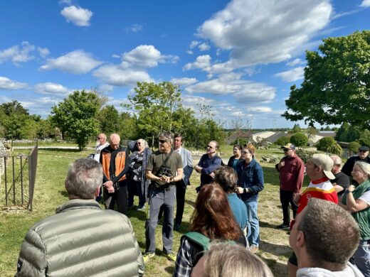 Exkursion nach Markgrafneusiedl – Besuch der Wehrkirche und der Krypta, © Christian Matula