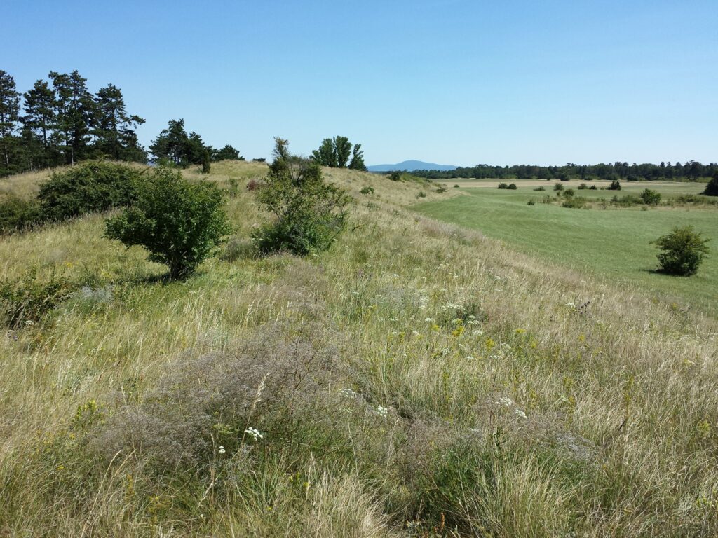 Sandberge Oberweiden Sandberge Oberweiden
