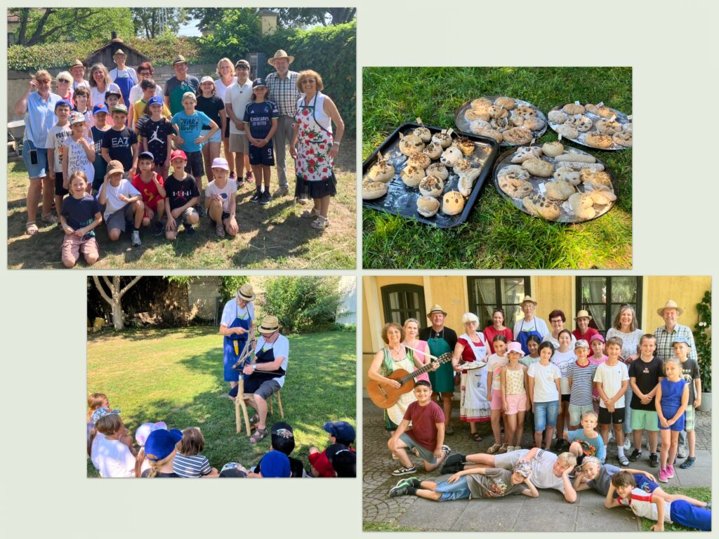 Vom Acker zum Brot: Projekt für Schulkinder im Museumsgarten