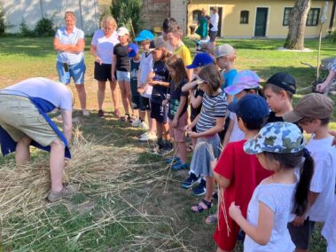 Vom Acker zum Brot: Projekt für Schulkinder im Museumsgarten
