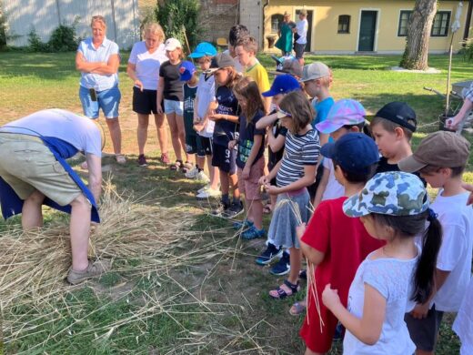 Vom Acker zum Brot: Projekt für Schulkinder im Museumsgarten