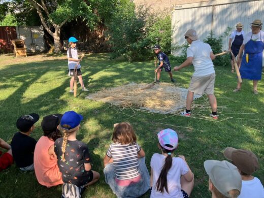 Vom Acker zum Brot: Projekt für Schulkinder im Museumsgarten